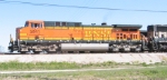 BNSF 5641